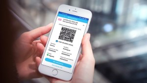 Certificado Único de Discapacidad: ¿Cómo puedo obtener el CUD online?