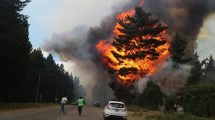 Imagen de Detuvieron a una mujer por los incendios en Chubut: «No fue un descuido», aseguró Patricia Bullrich