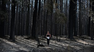 Imágenes de la tragedia que dejaron los incendios en El Bolsón