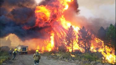 Incendios en la Patagonia. 