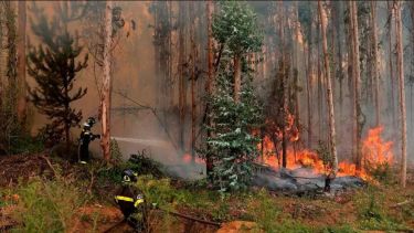 Chile en alerta roja por los incendios forestales. Foto: archivo. Télam.