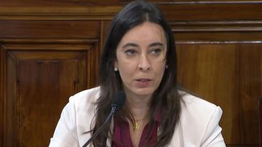 Tras el intenso cruce con Domingo Cavallo, Javier Milei echó a su hija Sonia de la embajada argentina