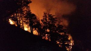 Tremendo: incendio intencional en el parque Los Alerces se suma al fuego sin control en Chubut