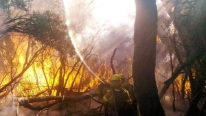 Incendios en la Patagonia: evacuados en Parque Lanín, humo en el Valle,  y un acusado por el foco en El Bolsón