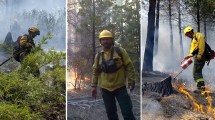 Imagen de Ponerle el cuerpo al fuego: tres brigadistas en combate en los incendios de la Patagonia