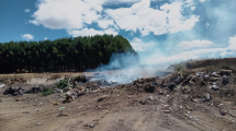 Imagen de ¿Otro paraíso en peligro? Qué pasó en Villa Pehuenia que despertó el alerta