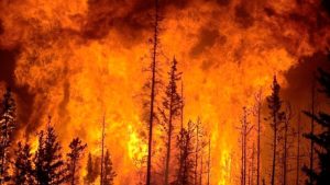 Casas destruidas y más de 14.000 hectáreas consumidas por los incendios en Chile, a la altura de Neuquén