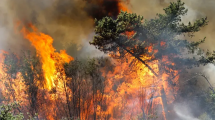 Imagen de Una «amenaza inminente»: así sufre los incendios forestales la peor zona de Chile, a la altura de Neuquén