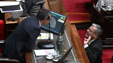 Video | Tensión en las sesiones extraordinarias: cruces entre Germán Martínez y Martín Menem por Ficha Limpia