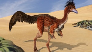 Fósiles hallados en Río Negro revelaron detalles inéditos de un dinosaurio de 70 millones de años