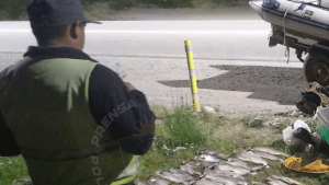 Viajaban con 46 truchas arcoíris en Neuquén y fueron descubiertos: cuánto podrían pagar de multa