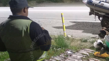 El control se hizo en el Muelle de Piedra, entre La Angostura y Bariloche.