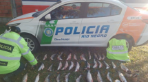 Imagen de Llevaban más de 30 truchas escondidas bajo la rueda de auxilio: multaron a pescadores ilegales en Río Negro