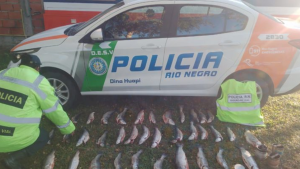 Llevaban más de 30 truchas escondidas bajo la rueda de auxilio: multaron a pescadores ilegales en Río Negro