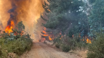 Imagen de Incendio forestal cerca de una zona poblada de Chile: con apoyo aéreo combaten las llamas