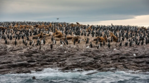 Imagen de El pueblo de Chubut que es un refugio de biodiversidad en un paisaje maravilloso
