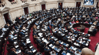 Suspendieron las PASO: el Senado aprobó la suspensión de estas elecciones en 2025, escándalo $LIBRA mediante
