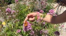 Imagen de Cómo tener un jardín patagónico: tips de una paisajista de San Martín de los Andes