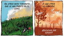 Imagen de «Patagonia crepita», la nueva y triste tira de Chelo Candia en el Voy