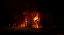 Imagen de Murió un hombre en los incendios de El Bolsón: ocurrió en Mallín Ahogado