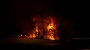 Murió un hombre en los incendios de El Bolsón: ocurrió en Mallín Ahogado