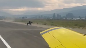 Video | Imprudencia en medio de los incendios en El Bolsón: ocuparon con caballos la pista de aterrizaje