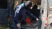 Imagen de Incendio en El Bolsón: detienen a dos mujeres durante un allanamiento en El Hoyo, qué encontraron