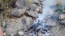 Imagen de Pesca furtiva en Neuquén: operativo por fogones mal apagados terminó con 167 truchas incautadas