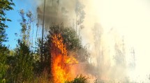Imagen de Detectan intencionalidad en los incendios en Chile, cerca de Neuquén: dónde están los focos activos