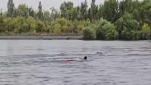 Dramático rescate en el río Limay: se les dio vuelta la tabla SUP y los salvaron guardavidas
