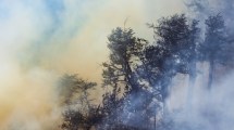 Imagen de El incendio del parque Lanín más cerca de Aluminé: buscan frenar el fuego con aviones y helicópteros