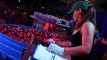 Imagen de Fiesta de la Manzana 2025 en Roca: cuáles serán los concursos este año y qué premios ofrecerán