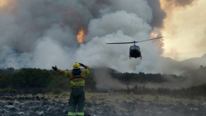 Incendios forestales: seguimos llegando tarde con los brigadistas