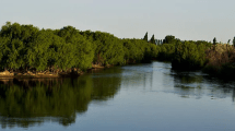 Imagen de Murió en el río en Choele Choel mientras jugaba con sus hijos