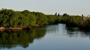 Murió en el río en Choele Choel mientras jugaba con sus hijos