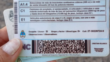 Detectaron una licencia trucha en Centenario. Foto: Gentileza Municipalidad de Centenario. 