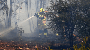 Incendios en Chile, a la altura de Neuquén: alerta roja en Negrete y preocupación que el viento reactive focos