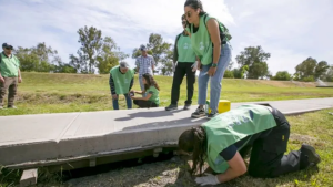 Mosquito del dengue en Centenario: se hallaron huevos y Salud trabajó en eliminar los criaderos