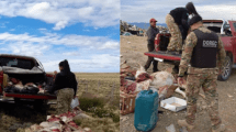 Imagen de Caza ilegal en Santa Cruz: detuvieron a dos hombres en la Ruta 40 que viajaban con 42 patas de guanaco