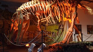 Proyecto Dino en Neuquén: disfrutá en febrero 2025 de actividades con dinosaurios en el museo Gregorio Álvarez