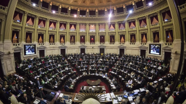 Nueva ofensiva opositora en Diputados por el caso $LIBRA.