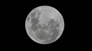 Video | Cómo observar la luna llena de nieve, este miércoles: un fenómeno con mucho esplendor
