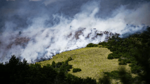 Incendio en el parque Lanín: una persona hospitalizada y dos asistidas por problemas respiratorios