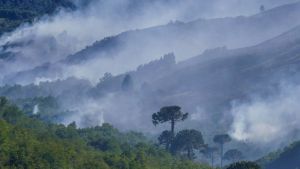 Incendios en la Patagonia: cómo está Parque Nacional Lanín, El Bolsón, Parque Nahuel Huapi y Chubut
