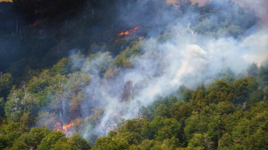 ATEN capital convocó a una marcha por los incendios en la Patagonia. Foto: archivo