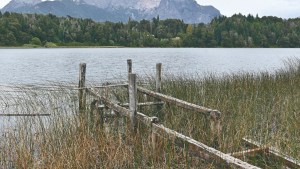 Reservas naturales urbanas en Bariloche, un modelo en crisis