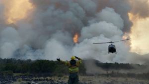 Cómo es la tarea de Leonardo Manríquez, pieza clave en el combate al incendio en parque Lanín