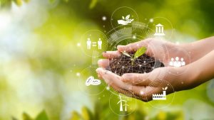 Cómo gestionan la sustentabilidad empresas de la región: estar bien con el entorno, prioritario