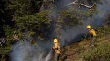 Imagen de Incendios en la Patagonia: libertad para los sospechosos en El Bolsón y la acusación de una senadora de Río Negro