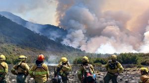 Los incendios y nuestros derechos